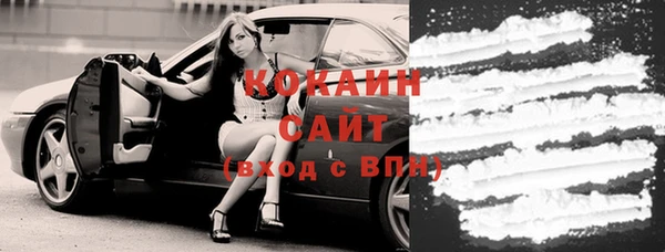 ешки Алексин