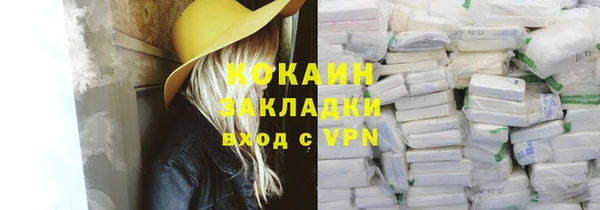 винт Абаза