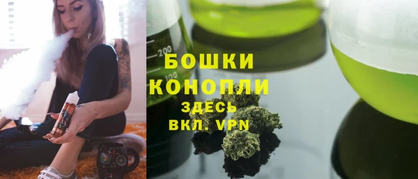 винт Абаза