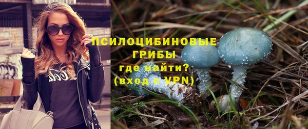 винт Абаза