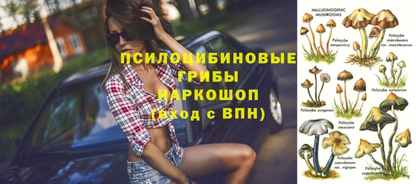 ешки Алексин