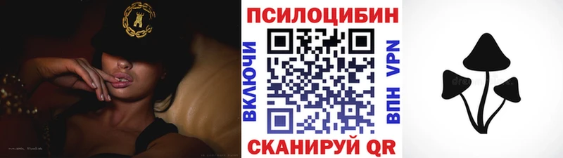 Псилоцибиновые грибы GOLDEN TEACHER  Темников 
